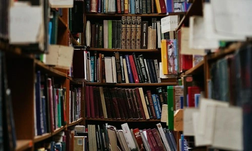 Career Planning for Graduates